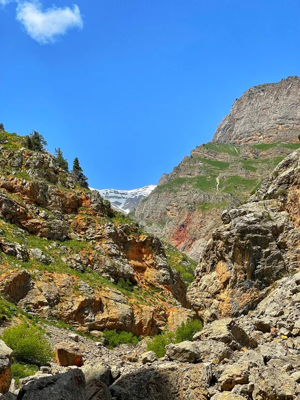Rocky mountain gorge