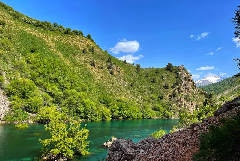 Green slopes above a mountain river